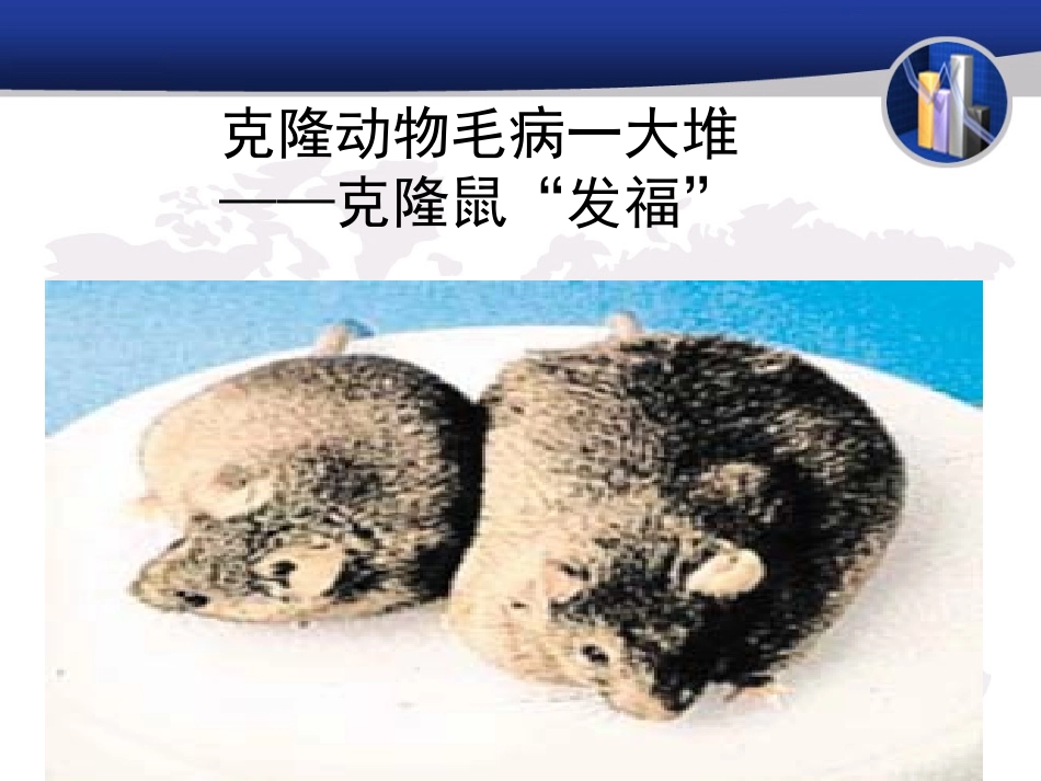 奇妙的克隆_课件_第3页