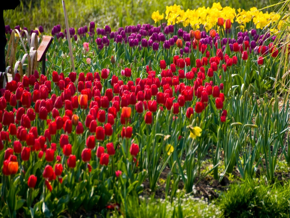 语言活动：我们的祖国真大_第3页