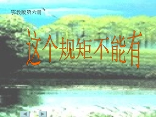 这个规矩不能有