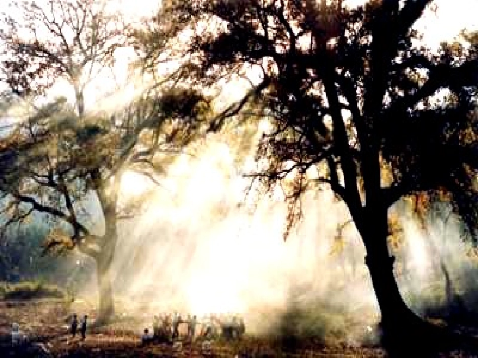 八年级物理第一节光的传播_第3页