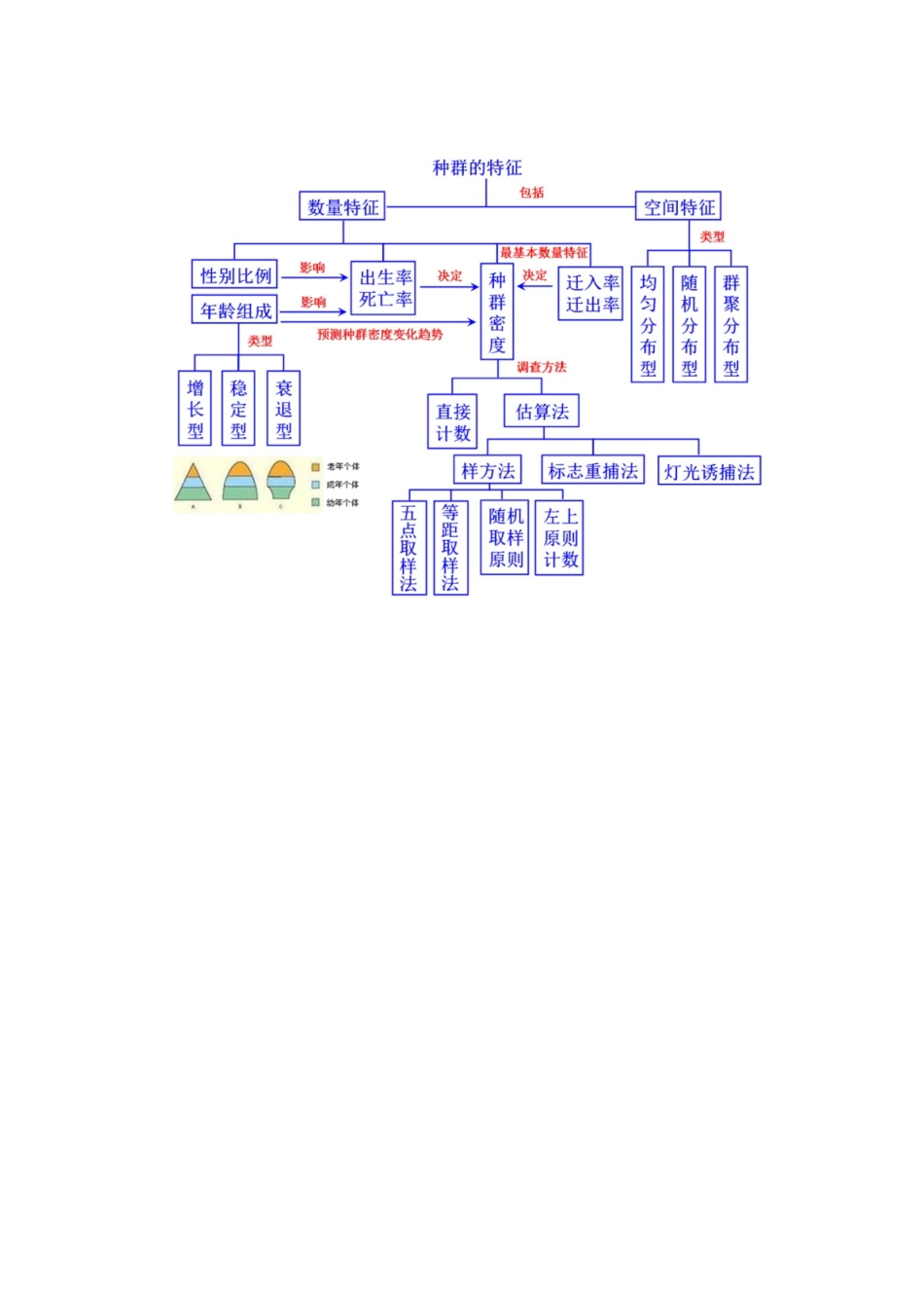 免疫调节植物激素调节种群特征概念图_第2页