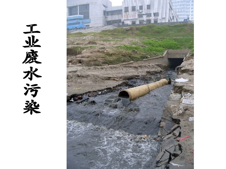 刀鱼哪儿去了_第3页