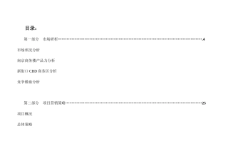 房地产开发企业项目营销策略