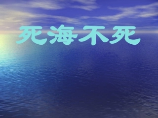 《死海不死》