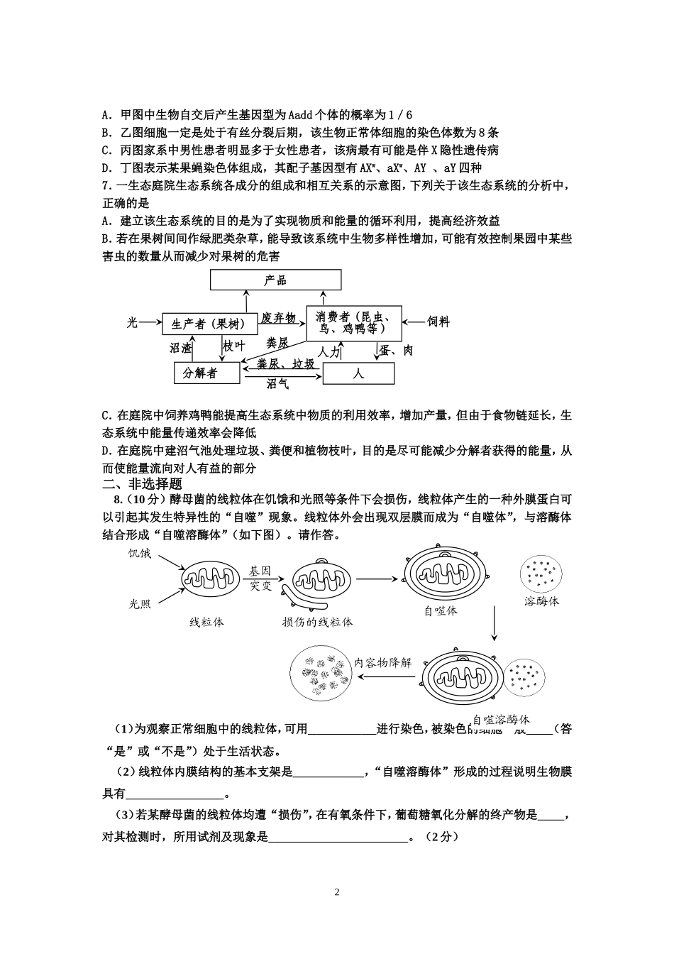 生物易错题训练（七）_第2页