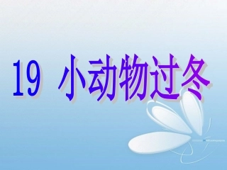上课用的小动物过冬课件