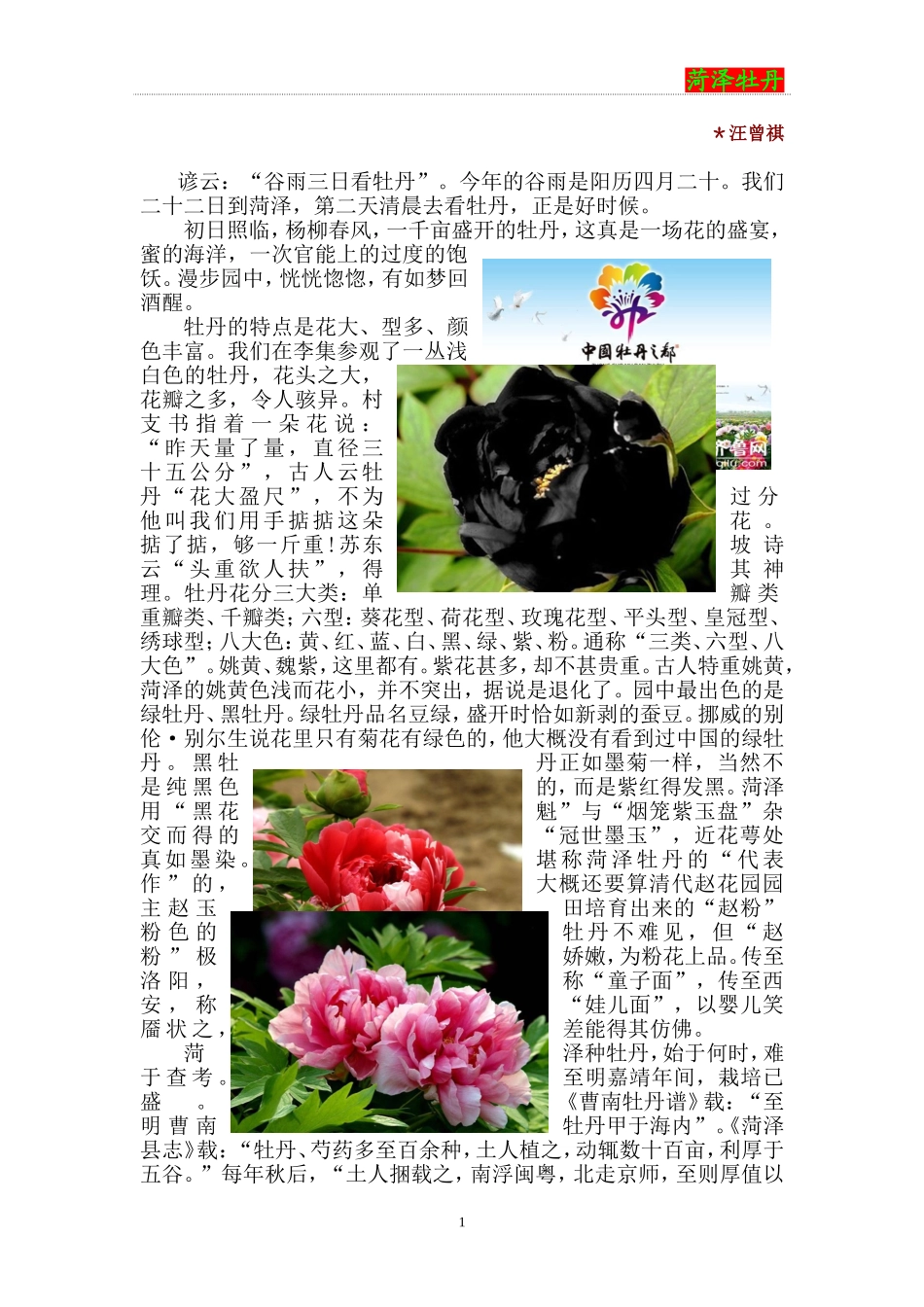 图文混排作业_第1页