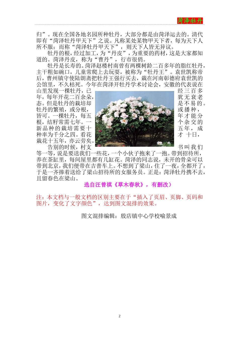 图文混排作业_第2页