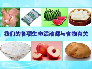 (中小学精品）一天的食物