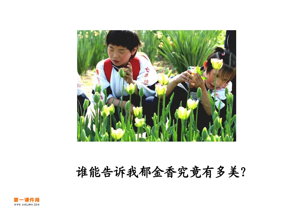 人教版四年级语文《永生的眼睛》PPT课件_第2页