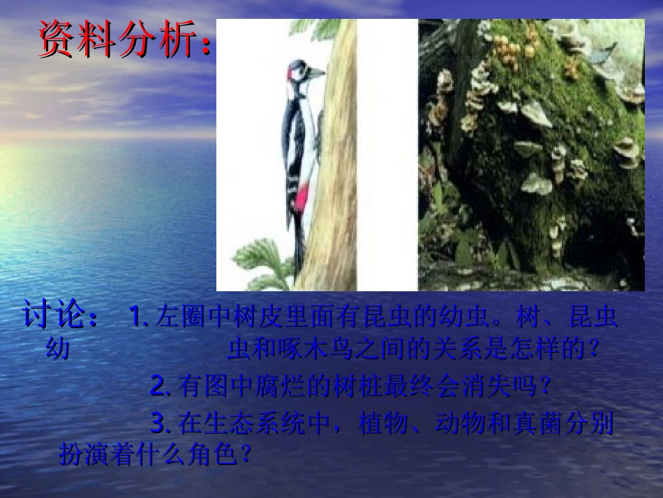 《生态系统》课件_第3页