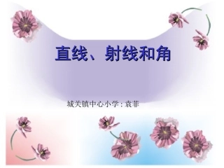 直线、射线袁菲
