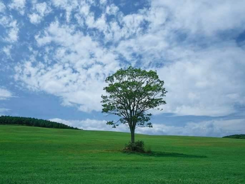 试卷评讲课件_第1页