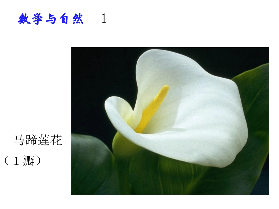 六下《数学思考》_第2页