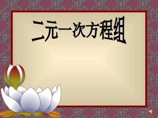（中小学精品）二元一次方程组