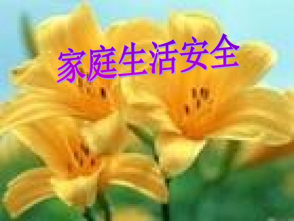 家庭生活安全_第1页