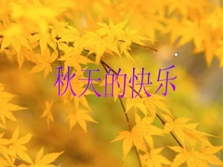 园地三口语交际、习作《秋天的快乐》
