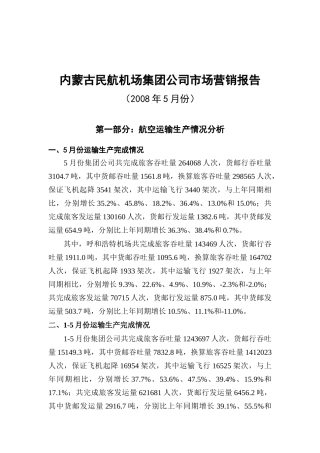 某民航机场市场营销报告概述