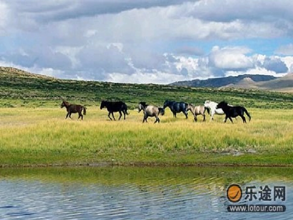 藏北草原的课件_第2页