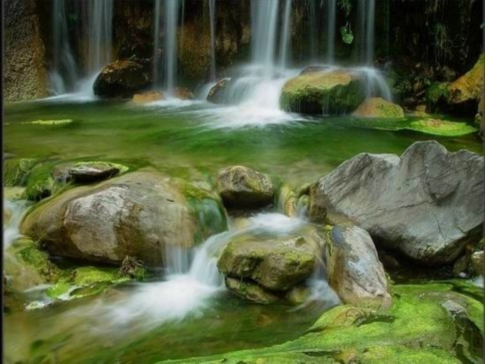 台湾的蝴蝶谷__第3页