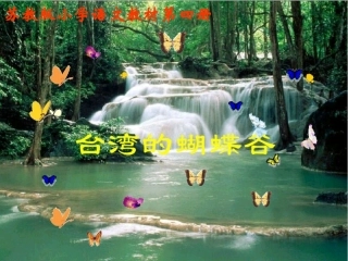 台湾的蝴蝶谷_