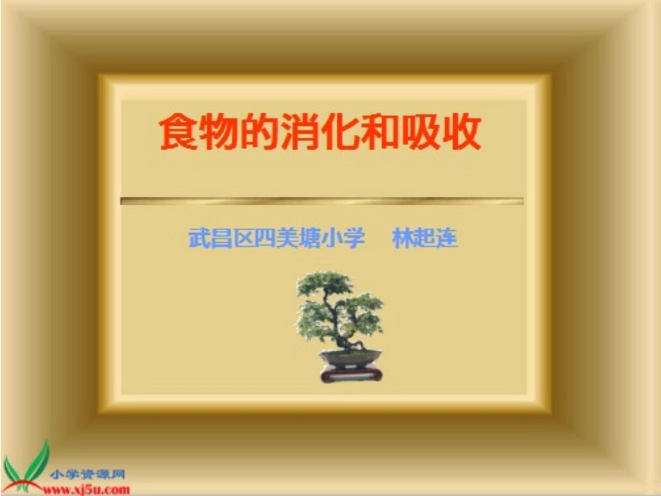 食物的消化与吸收_第1页