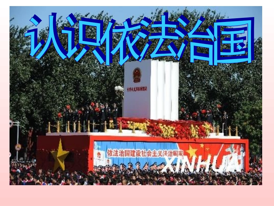 认识依法治国_第2页