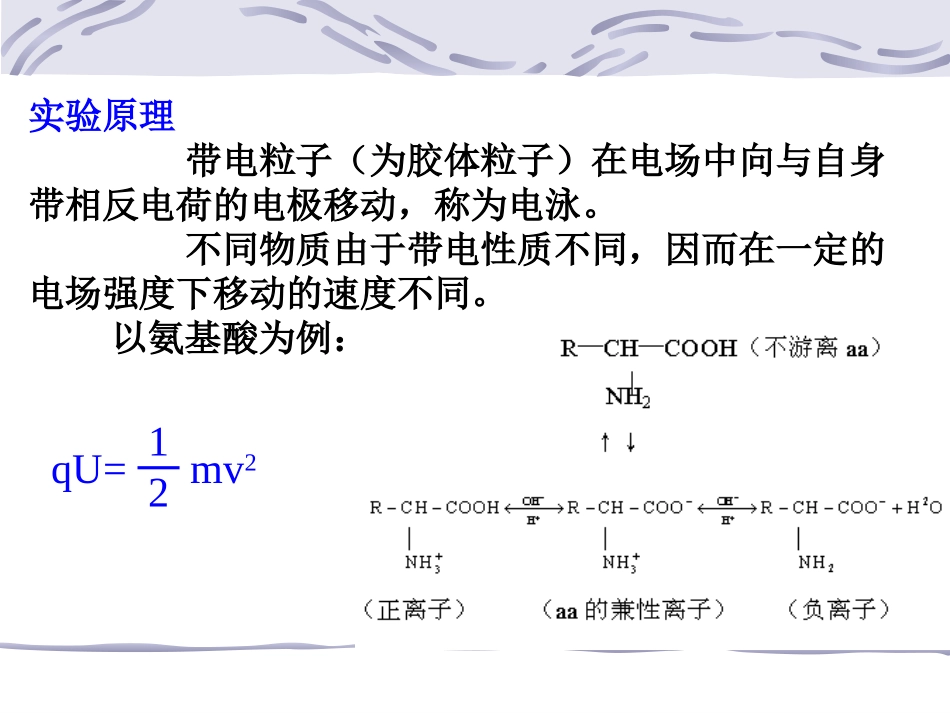 实验血清蛋白的醋酸纤维薄膜电泳_第2页