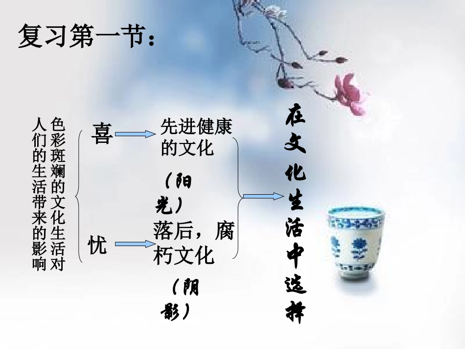 在文化生活中选择_第1页