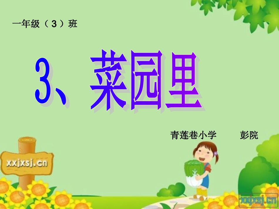 《菜园里》PPT及教案_第1页