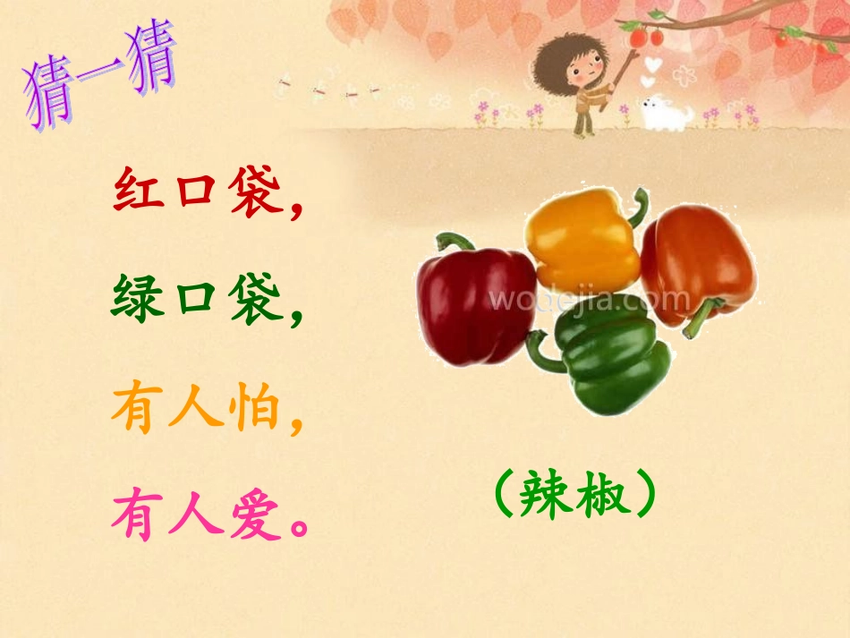 《菜园里》PPT及教案_第3页