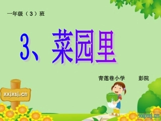 《菜园里》PPT及教案