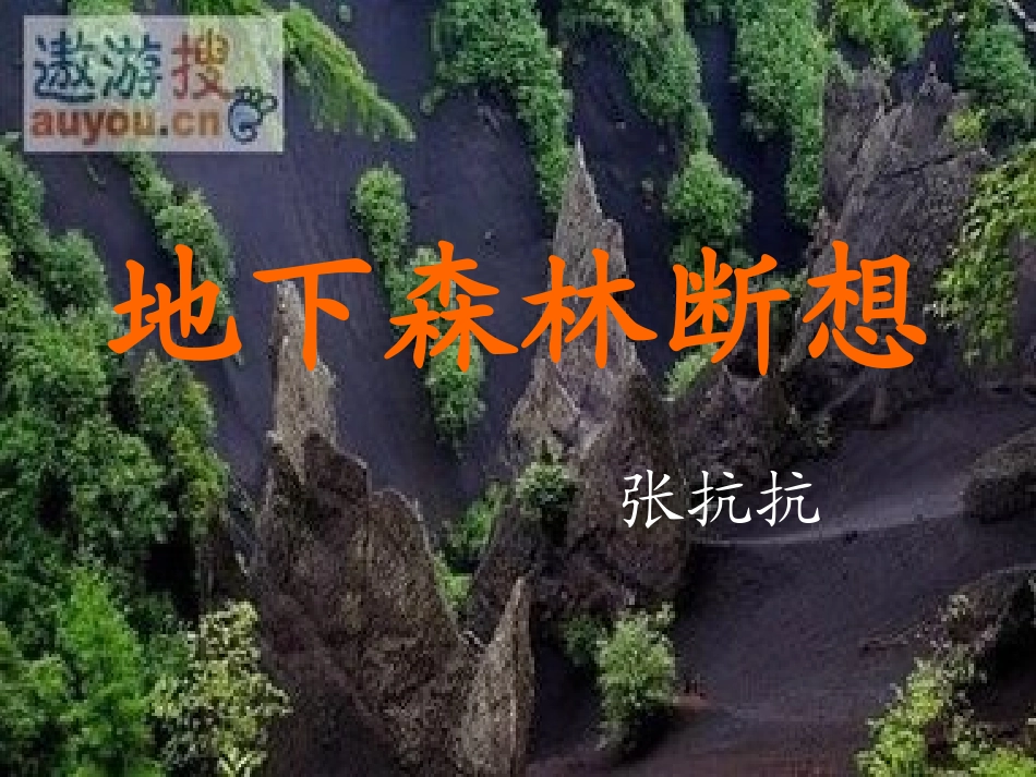 地下森林断想_第1页