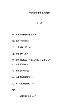 莱蒙都会销售策略建议报告