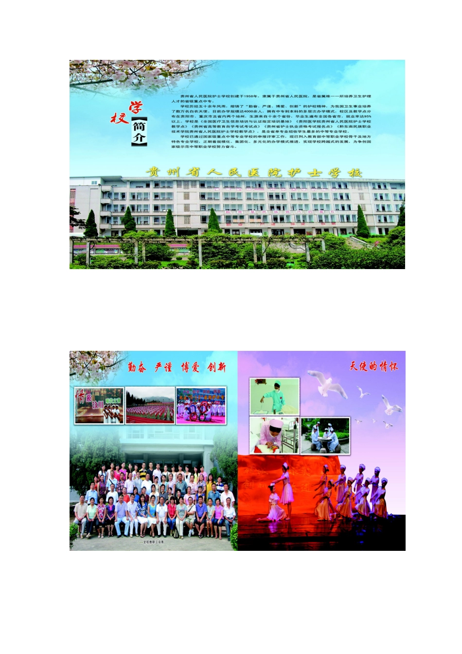 贵州某学校形象年册营销策划方案_第3页