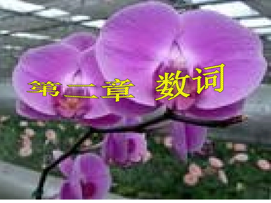 初中英语语法-数词PPT课件_第1页