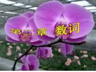 初中英语语法-数词PPT课件