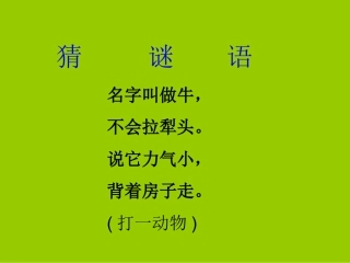 《蜗牛的奖杯》第一课时