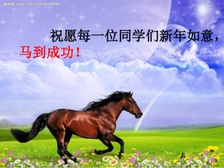 棋盘上马的行踪