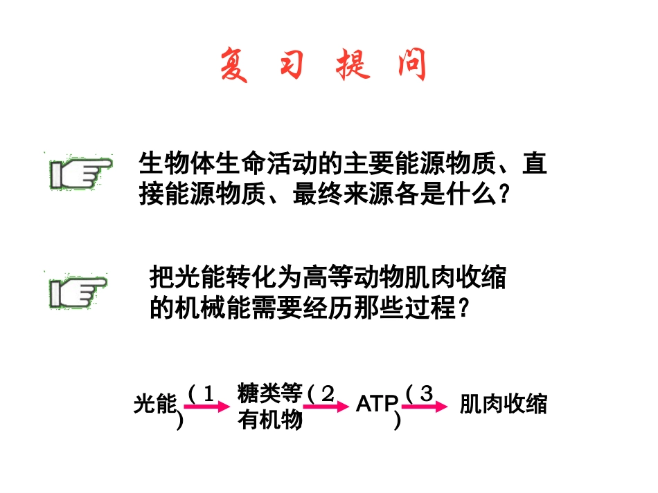 （中小学精品）ATP的主要来源——细胞呼吸_第2页