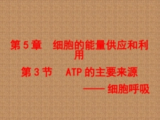（中小学精品）ATP的主要来源——细胞呼吸