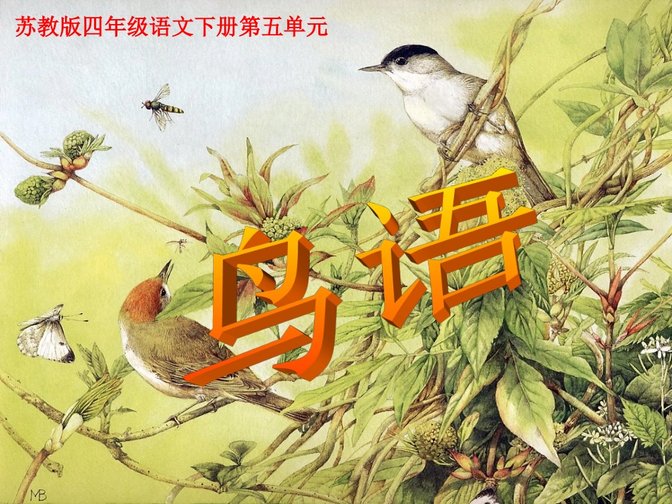 苏教版四年级下册《鸟语》课件-_第3页