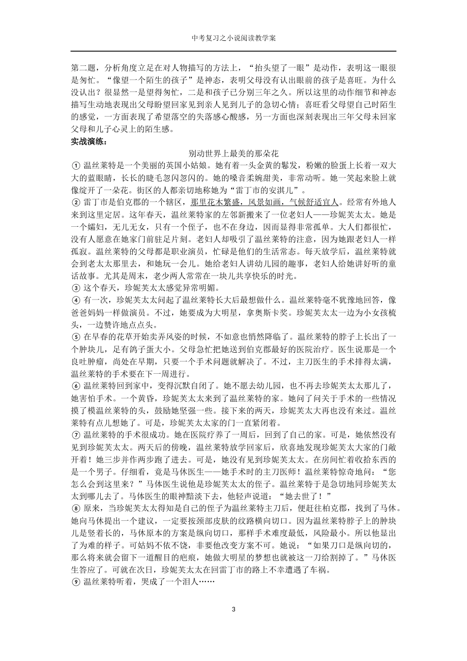 小说阅读复习(二)_第3页