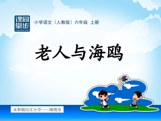 永和镇伍庄小学-路艳房-《老人与海鸥》课件