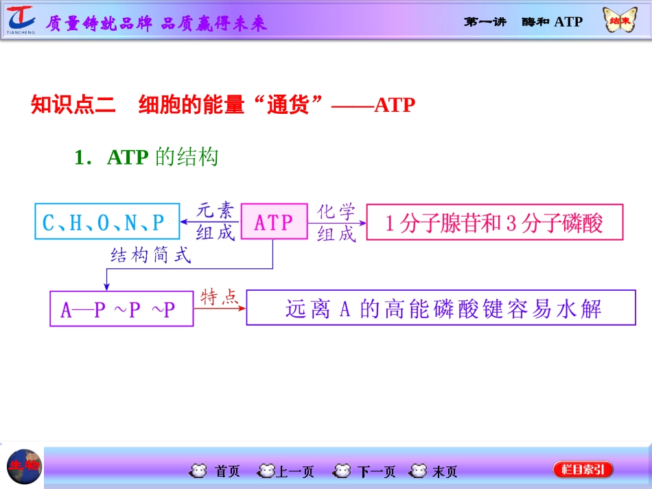 第一讲酶和ATP_第2页