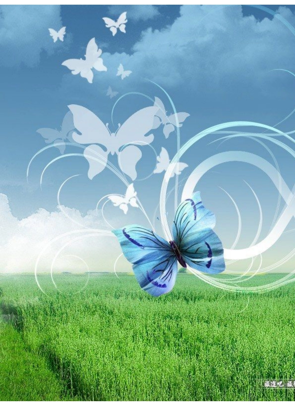 某便利店渠道战略分析课程_第1页