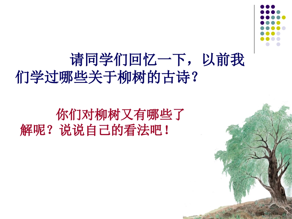 （苏教版）六年级语文上册课件青海高原一株柳_第1页