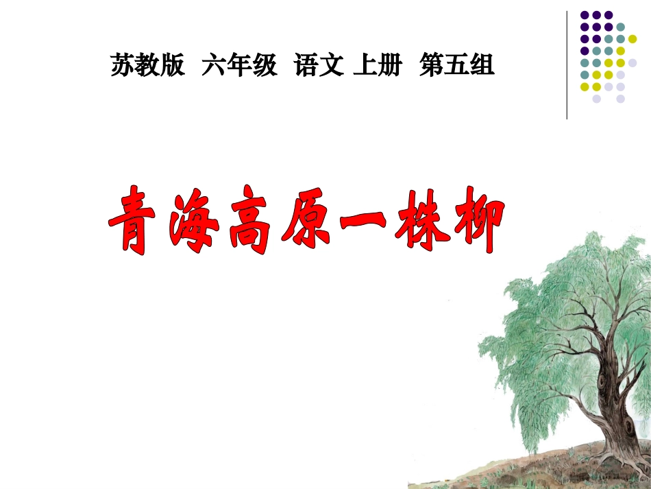 （苏教版）六年级语文上册课件青海高原一株柳_第3页