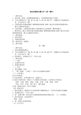 我应该感到自豪才对（第一课时）