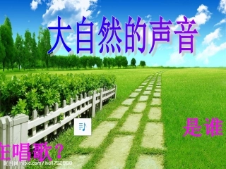 森林的歌声正式课件